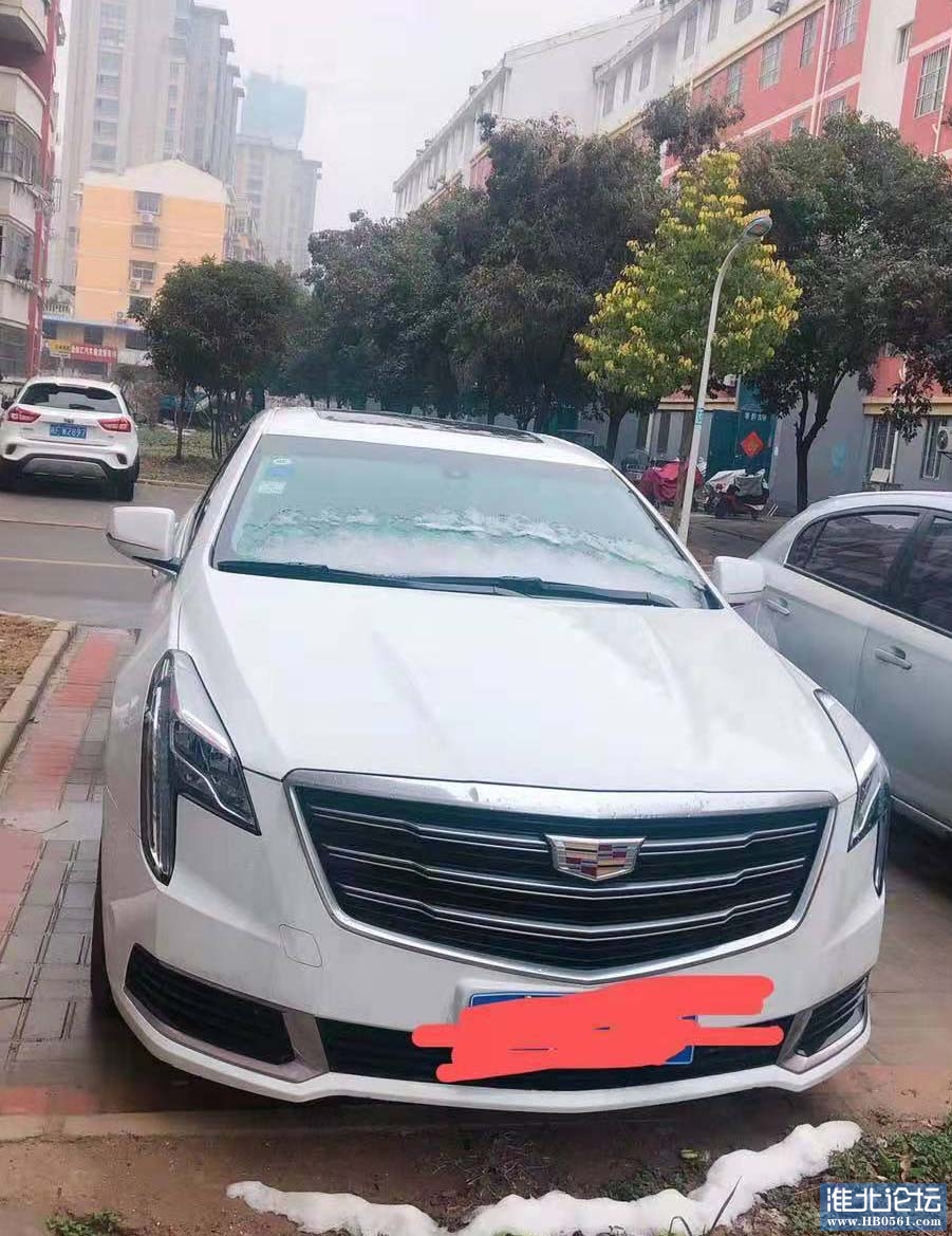 微信图片_20200128163051 拷贝.jpg