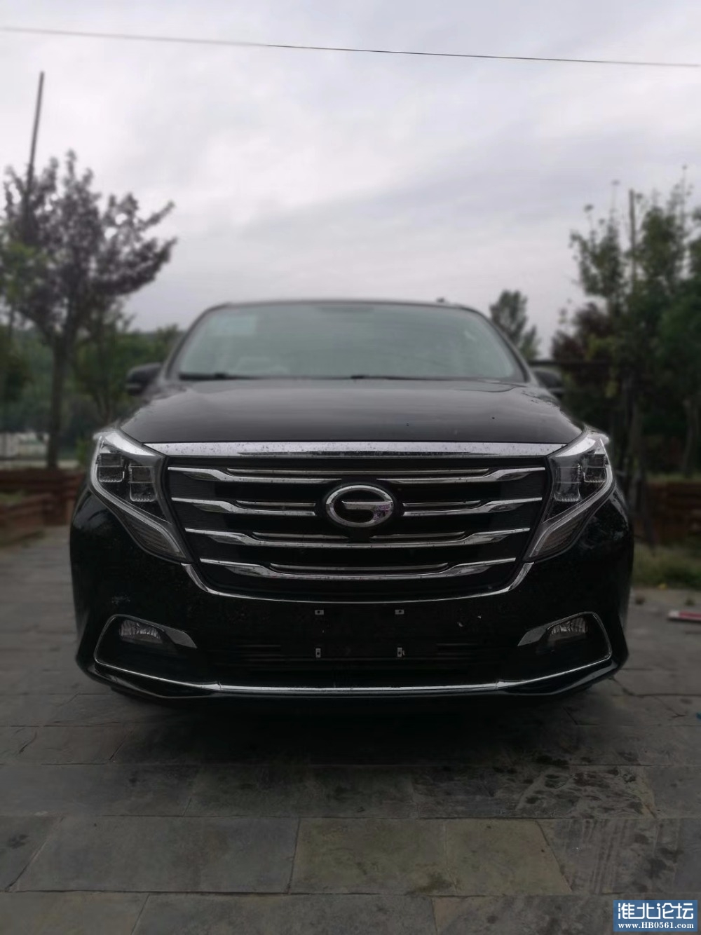 mmexport1545050439201.jpg