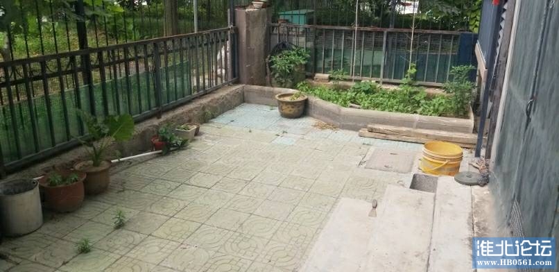101650k7ct12petaea0tty.jpg