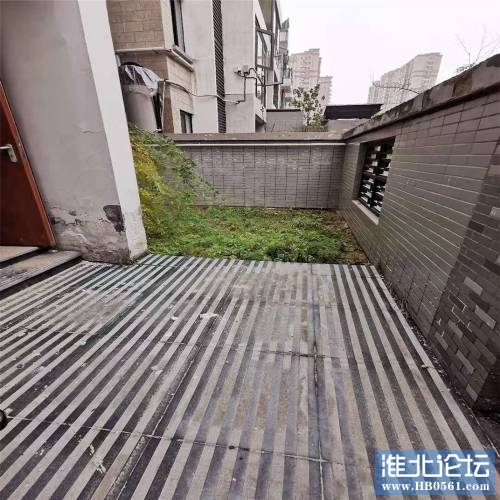 230648quzh46hbz65x7umm.jpg