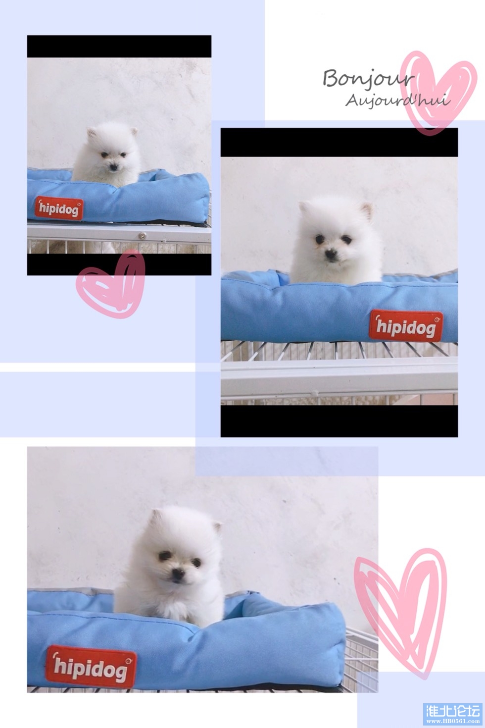 113725g6q18qknwn6wgshh.jpg