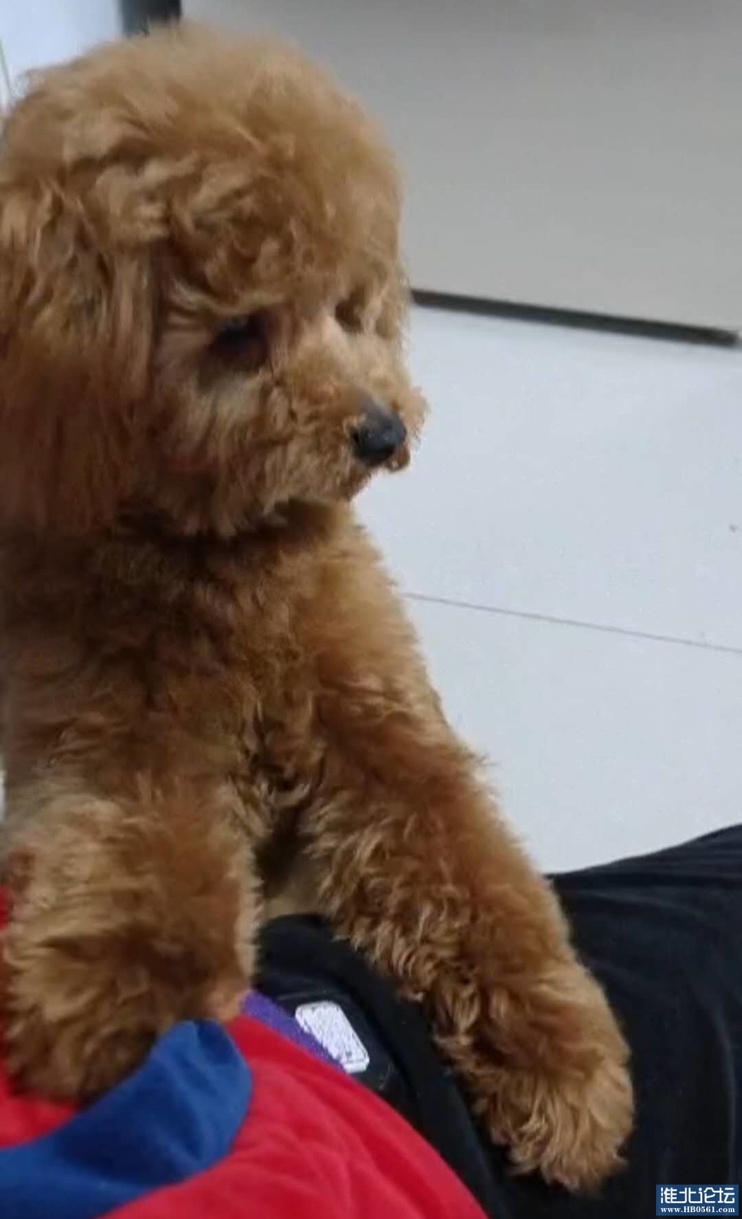 微信图片_20200317093542_看图王.jpg
