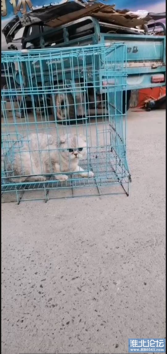 205307mmtywx1kmyyuabuw.jpg