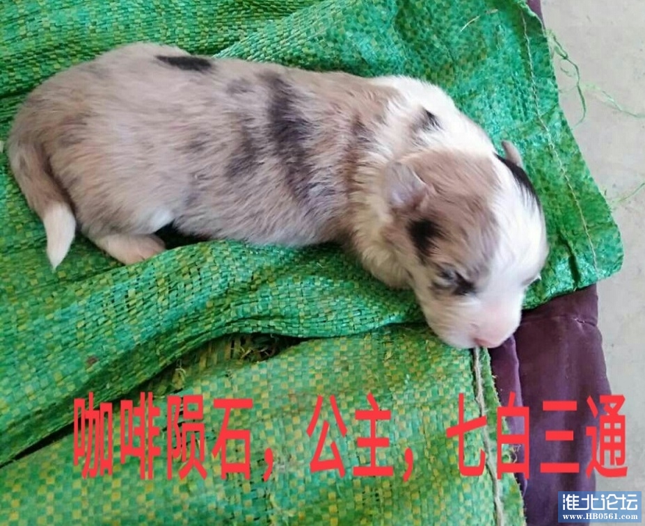 6_看图王.jpg