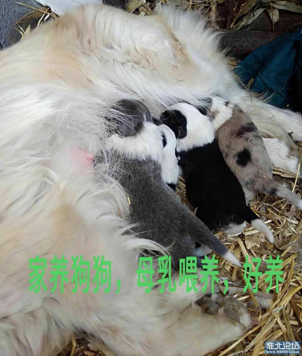 5_看图王.jpg