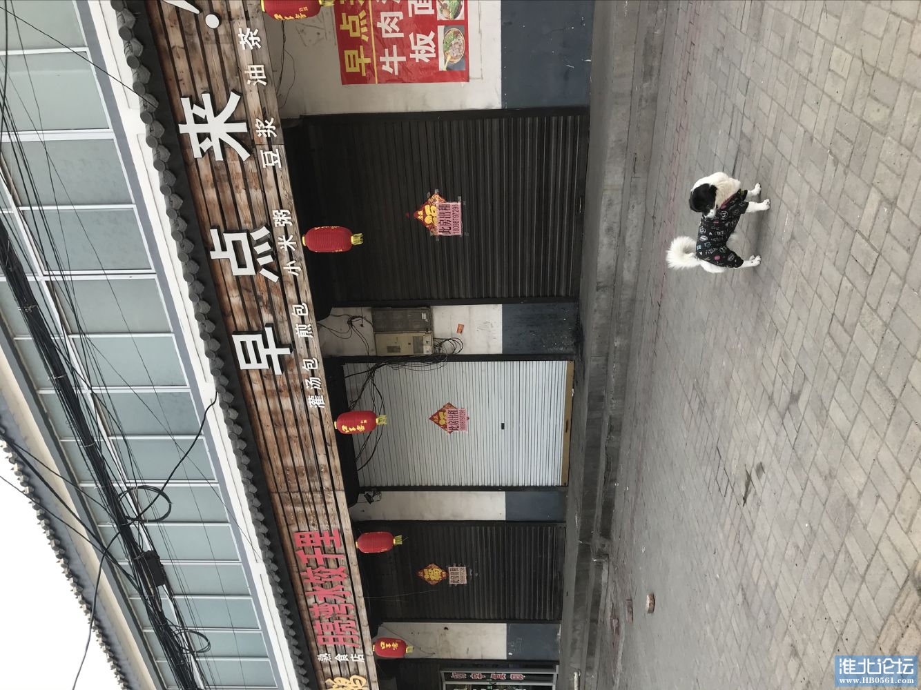 QQ图片20200331093236.jpg