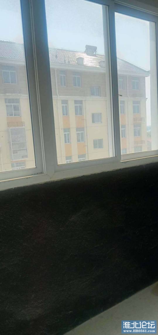 180735tg6wdnonob5bf533.jpg