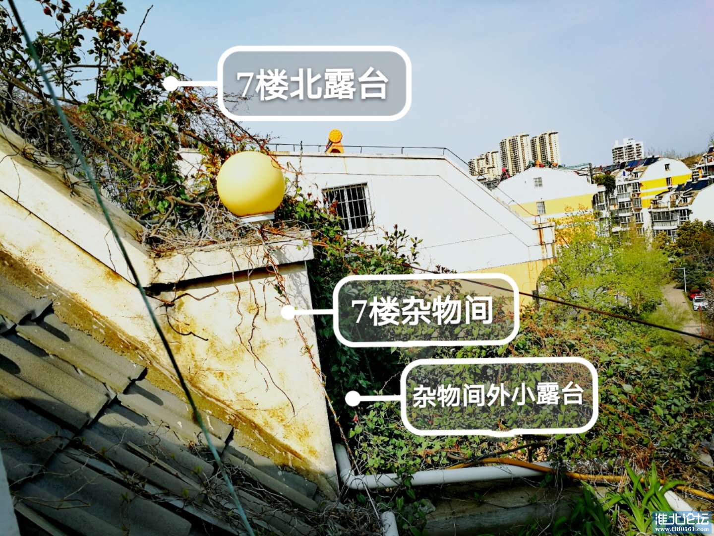 微信图片_20200410091119.jpg