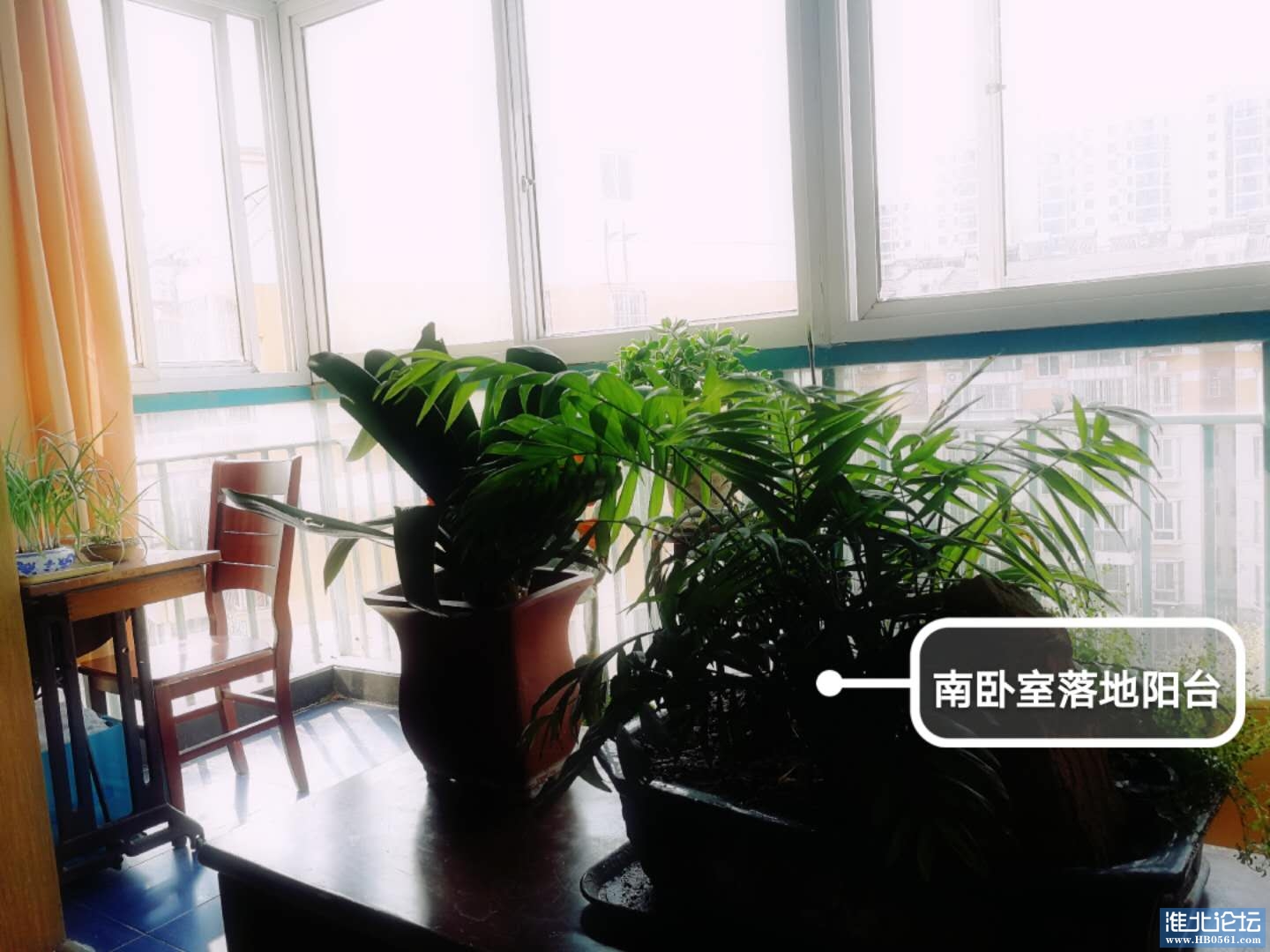 微信图片_20200410091226.jpg