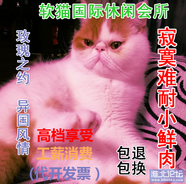 微信截图_20200417094334.png