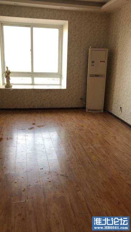 102339aj2vge2ytyn87jeg.jpg