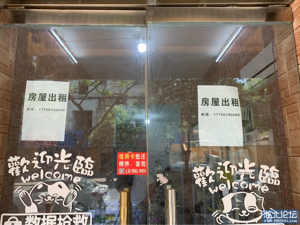 105739vrsfzlyq7sab9qkb.jpg