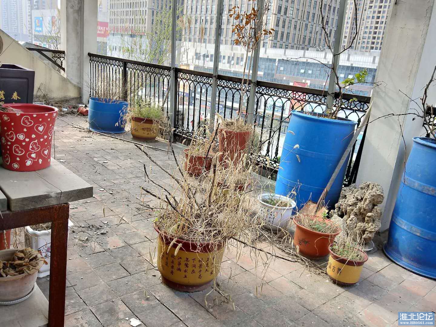 微信图片_20200604144224.jpg