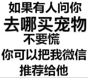 000419x8dq770p8d05f0p7.jpg