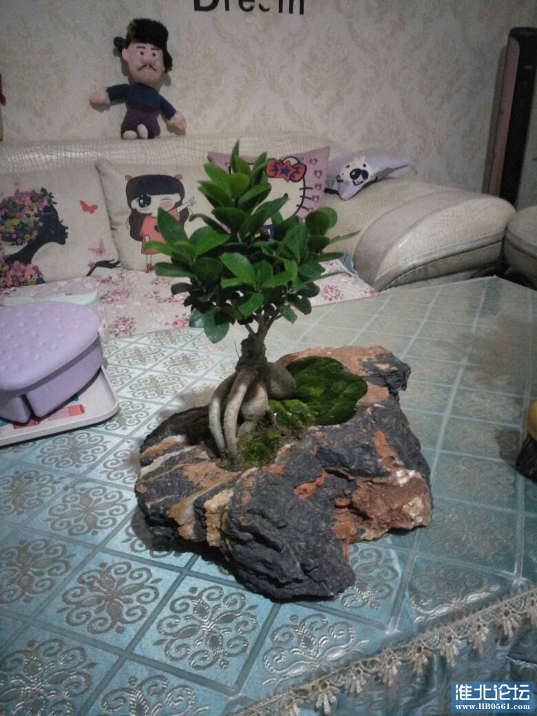 201306zo81zrm45so8r887.jpg