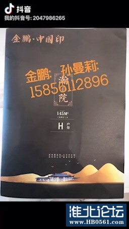 115536ywnettlj0eicijii.jpg