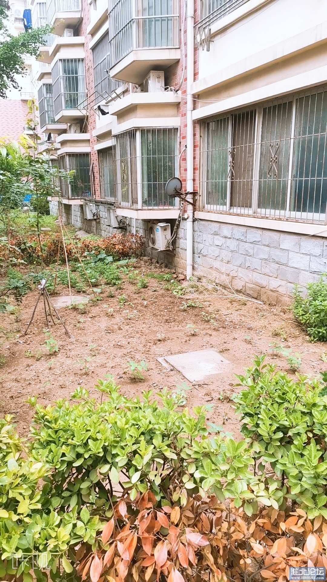 前院