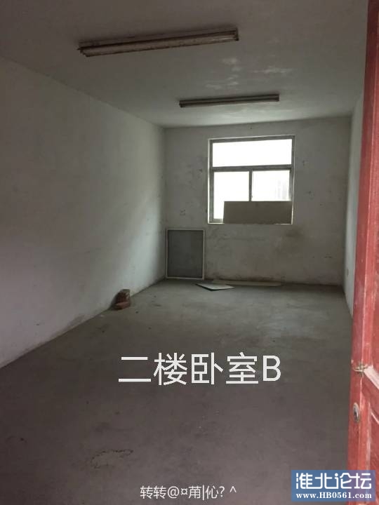 084227pnjsrdt5ii0xha3x.png