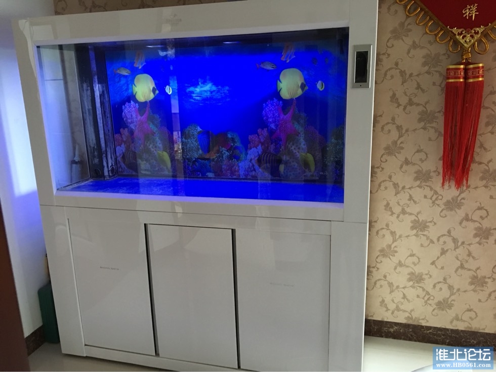 090746jck5icpp11hkiiji.jpg