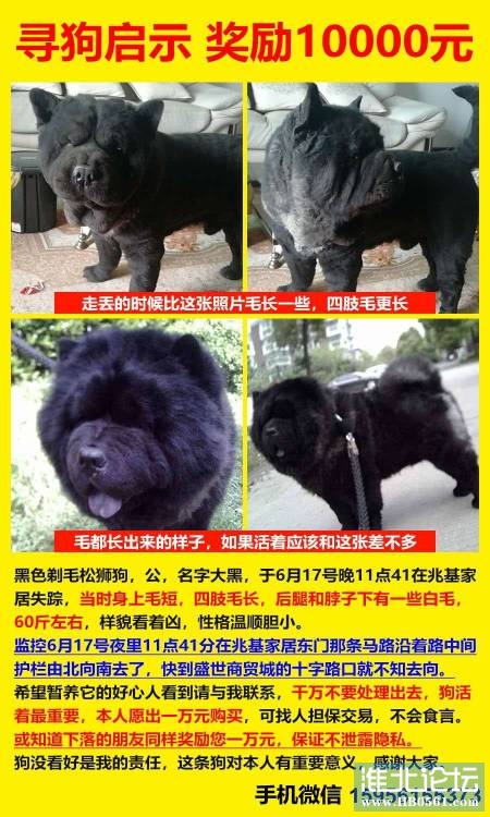 082957mbr5ggwhtdhtrw5t.jpg