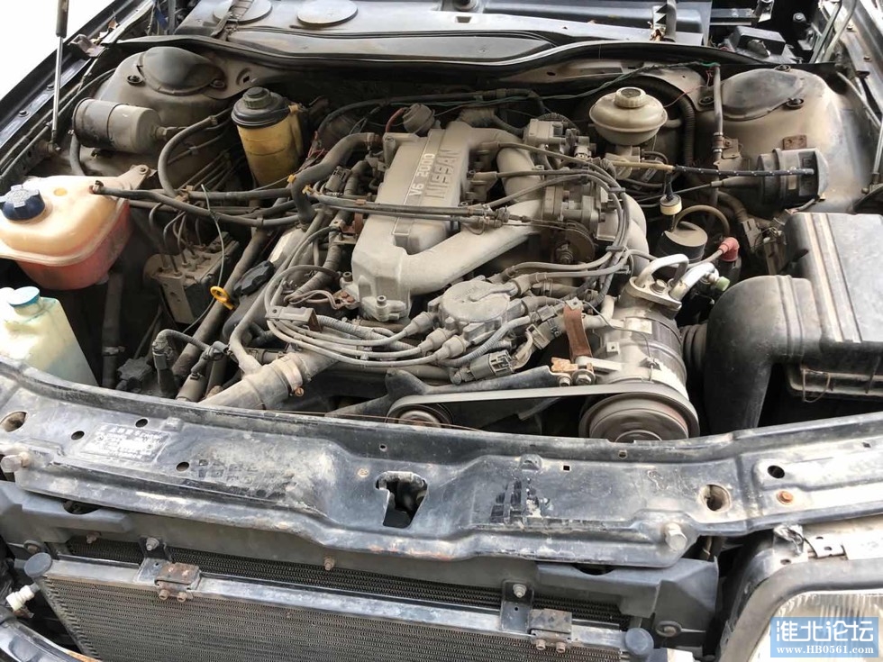 094920l8v8gojkpcpgsjk8.jpg