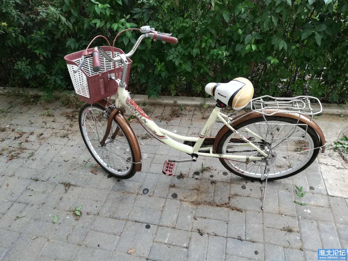 153939vdb3cenzcoi1iidi.jpg