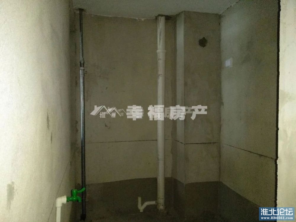 金百合FY-18-5834(6).jpg