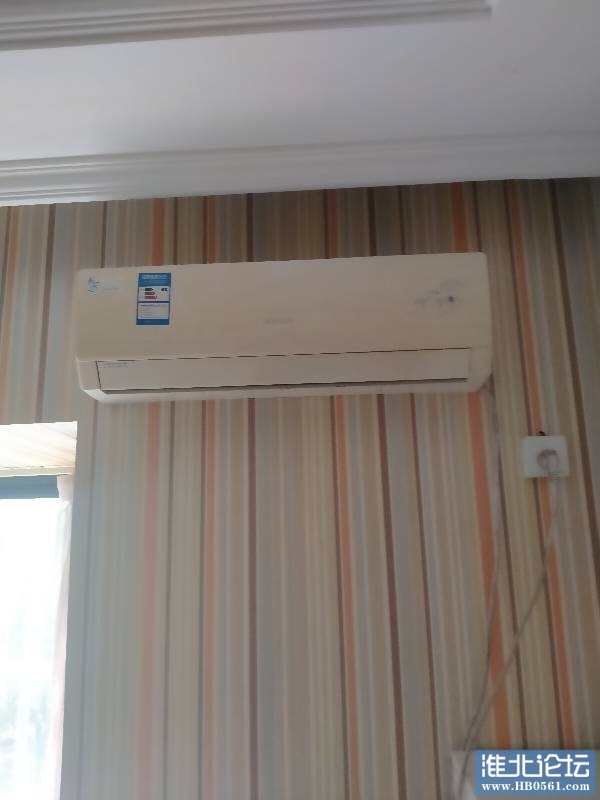 104007s40xgsixsmb04suz.jpg