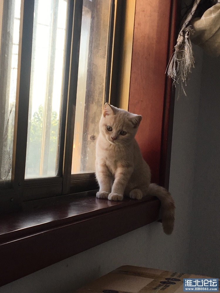 AB15DDDD-33C6-4FA9-94E3-B9E23D5665A7.jpeg