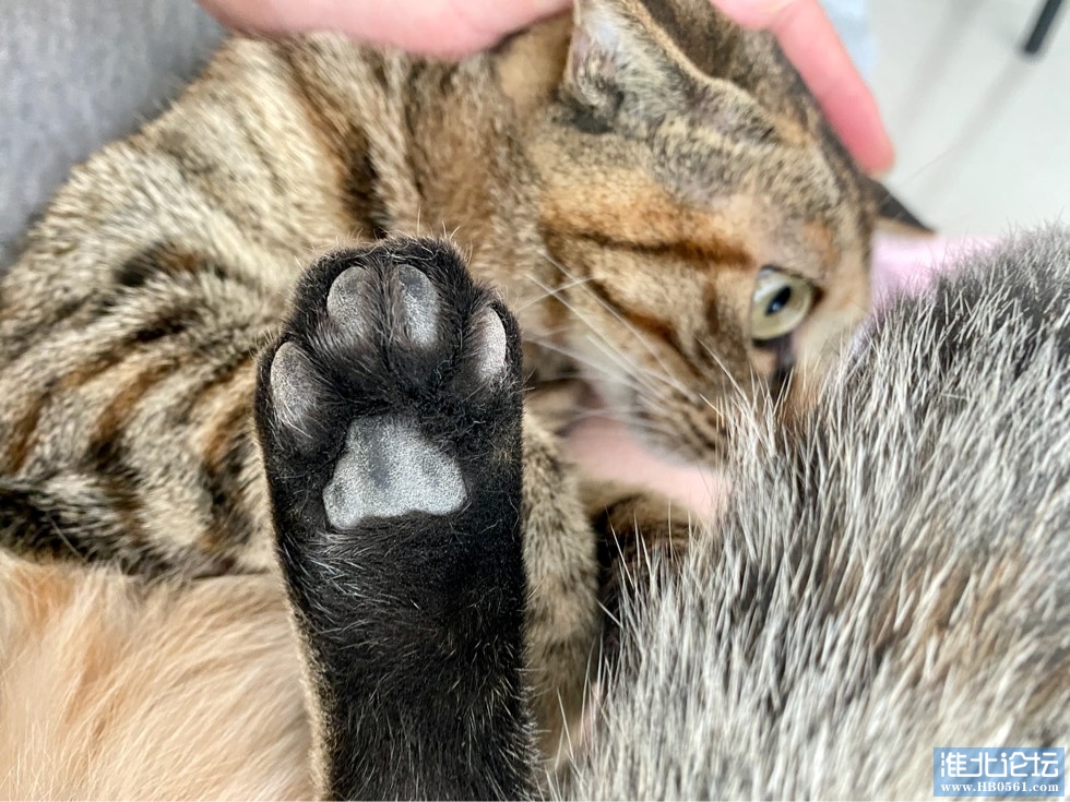 101834s8xlqtxyljfosowj.jpg