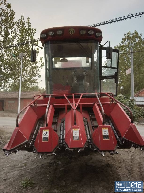 190200yyr5xiioxmkxv9kq.jpg