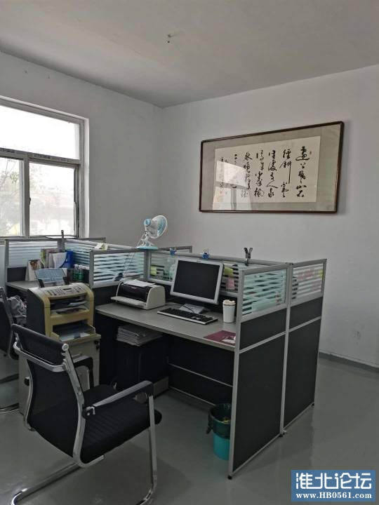 104046pr70ziblarolpive.jpg