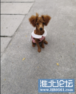 下载 (1).png