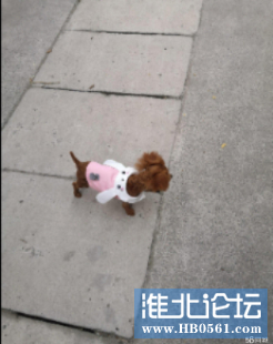 下载 (2).png