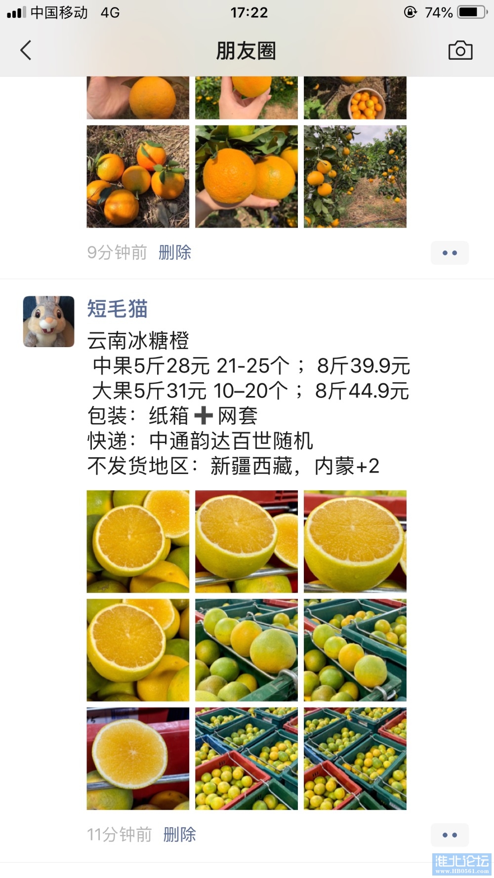 9FE515F2-493B-4009-85CA-6E5F48A8B3B6.jpeg