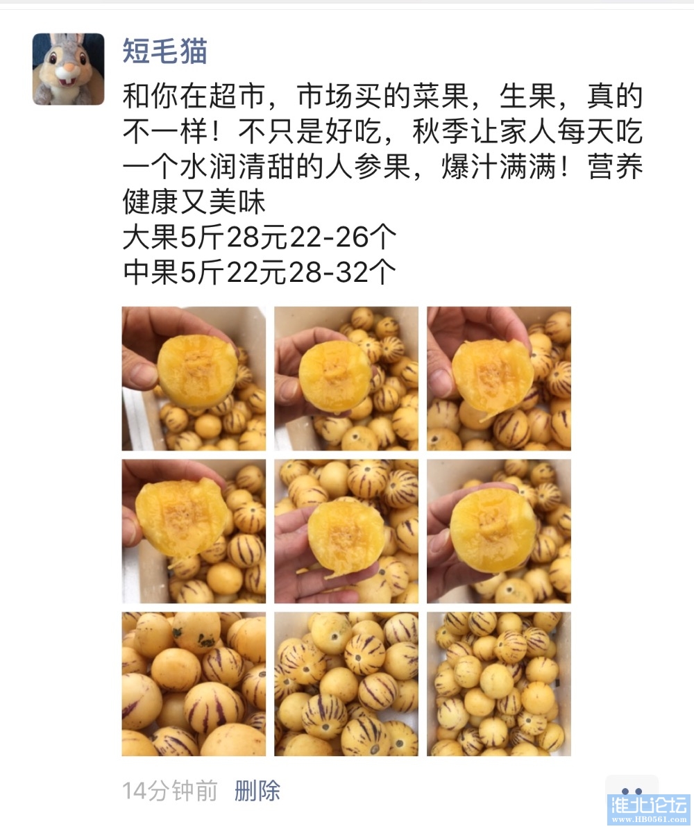9FE515F2-493B-4009-85CA-6E5F48A8B3B6.jpeg