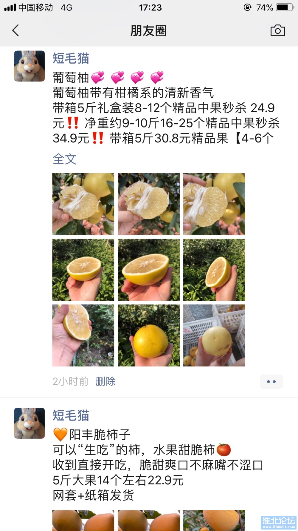9FE515F2-493B-4009-85CA-6E5F48A8B3B6.jpeg