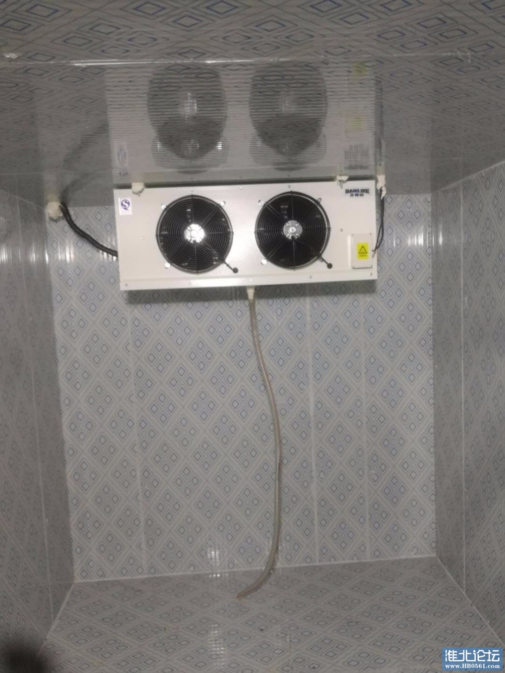 mmexport1604018322245.jpg