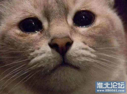 微信图片_20201113094756.jpg