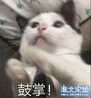 微信图片_20201113094813.jpg