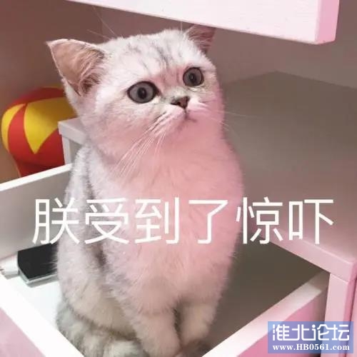 微信图片_20201113095129.jpg