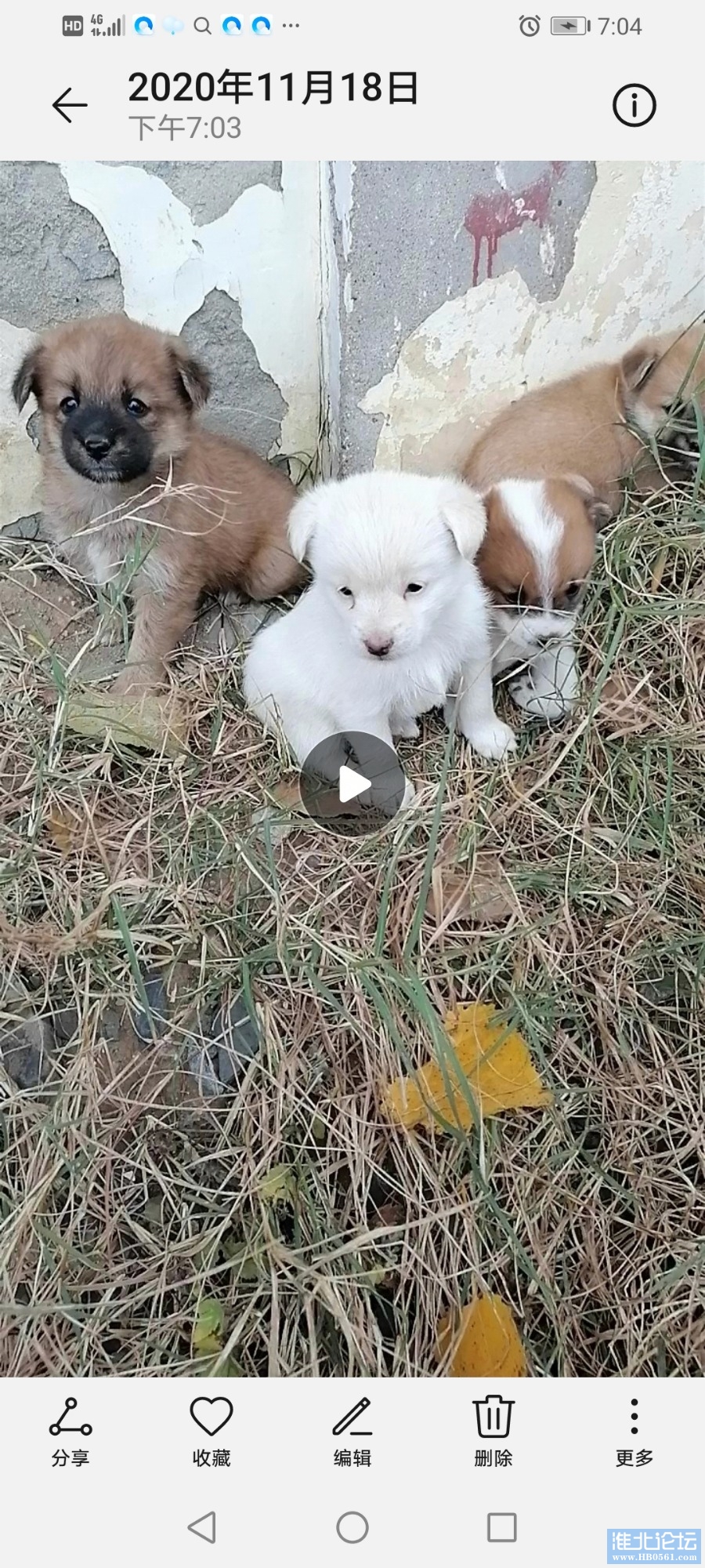 Screenshot_20201118_190404_com.android.gallery3d.jpg