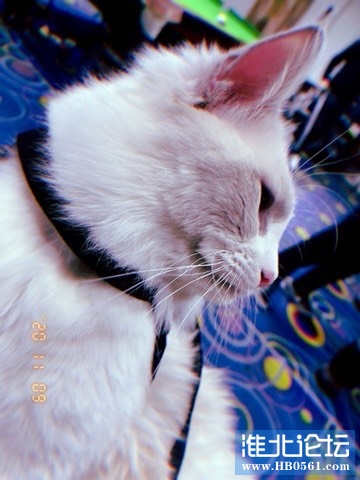 030520same3ysbyeadyo6u.jpg