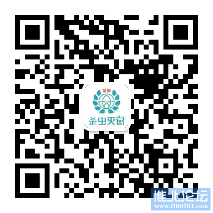 mmqrcode1605679307494.png