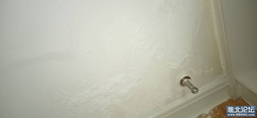 154133fu8s8q5s5g8586sn.jpg