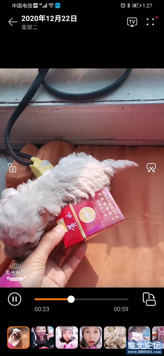 133011m7lphufe8emu2puu.jpg