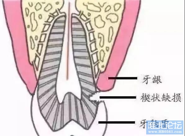 微信图片_20210118103426.jpg
