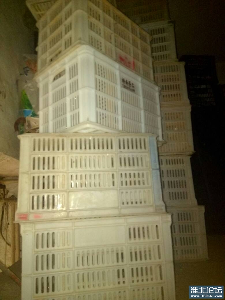 031902snycwzgakgzkaejd.jpg