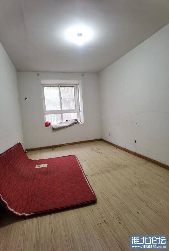 095016y2mkxivi225q445p.jpg