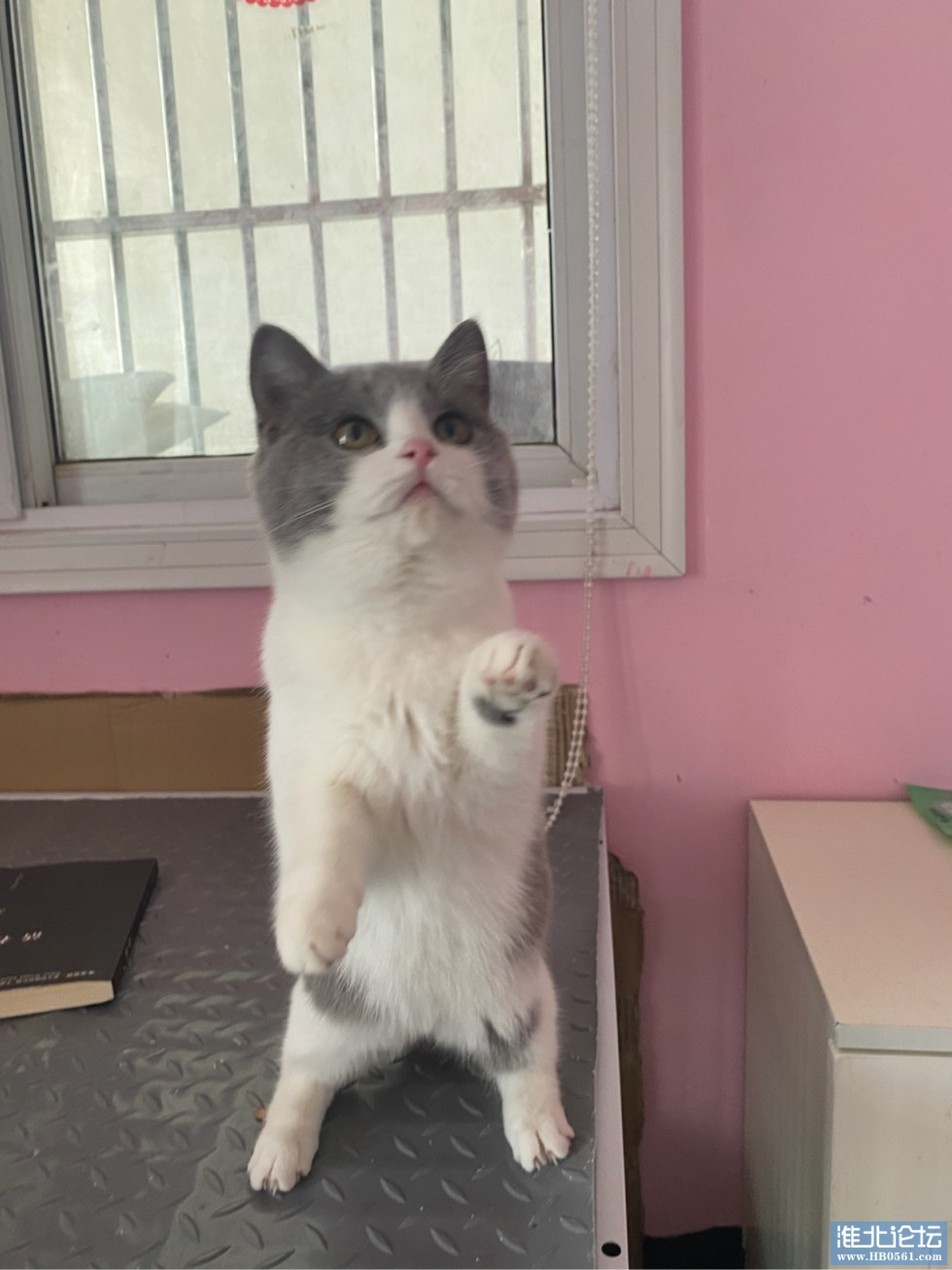 135257qrnrfrqrskjpgrnn.jpg